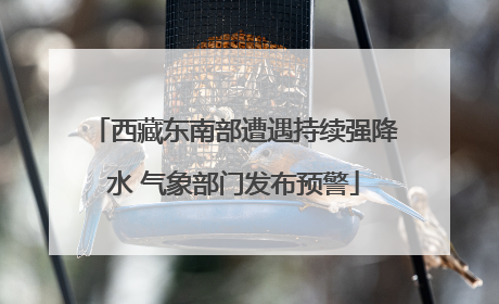 西藏东南部遭遇持续强降水 气象部门发布预警