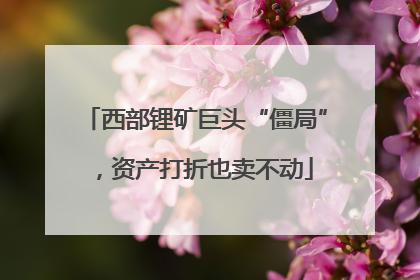 西部锂矿巨头“僵局”，资产打折也卖不动