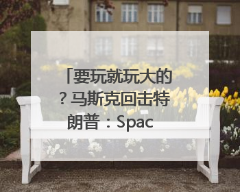 要玩就玩大的？马斯克回击特朗普：SpaceX“龙”飞船将立即退役！