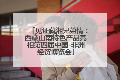 见证藏湘兄弟情：西藏山南特色产品亮相第四届中国-非洲经贸博览会