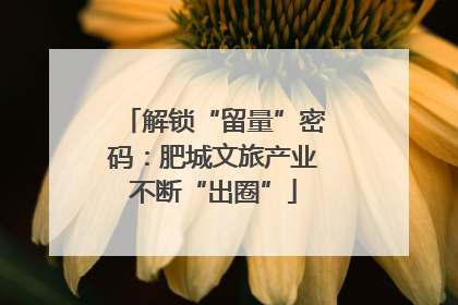 解锁“留量”密码：肥城文旅产业不断“出圈”
