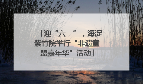 迎“六一”，海淀紫竹院举行“非遗童盟嘉年华”活动