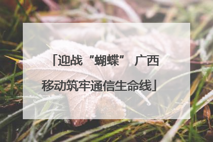 迎战“蝴蝶” 广西移动筑牢通信生命线