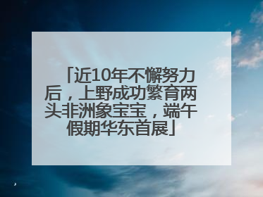 近10年不懈努力后，上野成功繁育两头非洲象宝宝，端午假期华东首展