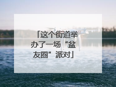 这个街道举办了一场“盆友圈”派对