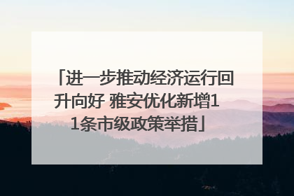进一步推动经济运行回升向好 雅安优化新增11条市级政策举措