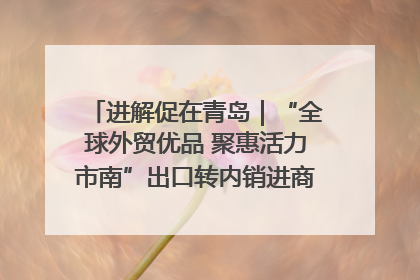 进解促在青岛｜“全球外贸优品 聚惠活力市南”出口转内销进商超专场活动启动