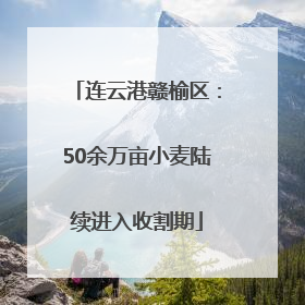 连云港赣榆区：50余万亩小麦陆续进入收割期