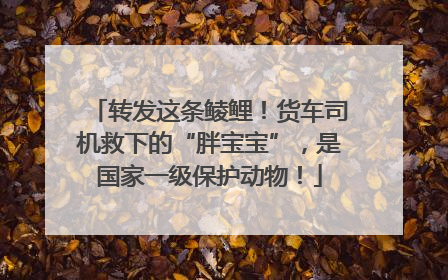 转发这条鲮鲤！货车司机救下的“胖宝宝”，是国家一级保护动物！