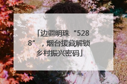 边疆明珠“5288”，烟台援藏解锁乡村振兴密码