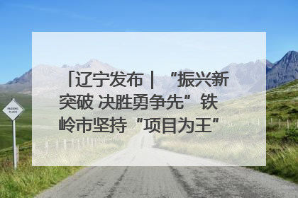 辽宁发布｜“振兴新突破 决胜勇争先”铁岭市坚持“项目为王”推进经济高质量发展