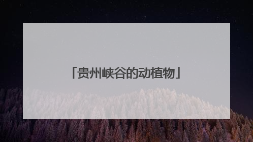 贵州峡谷的动植物