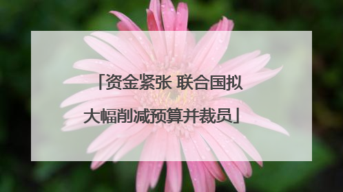 资金紧张 联合国拟大幅削减预算并裁员