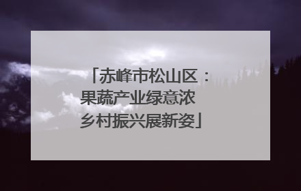 赤峰市松山区：果蔬产业绿意浓 乡村振兴展新姿