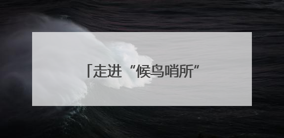 走进“候鸟哨所”，看一茬茬官兵践行不变的戍边使命