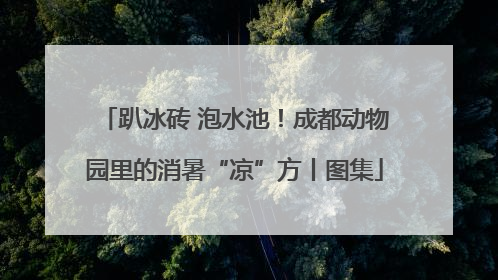 趴冰砖 泡水池！成都动物园里的消暑“凉”方丨图集