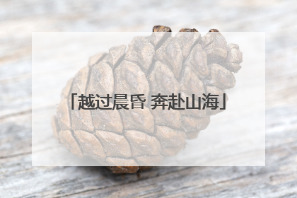 越过晨昏 奔赴山海