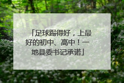 足球踢得好，上最好的初中、高中！一地县委书记承诺