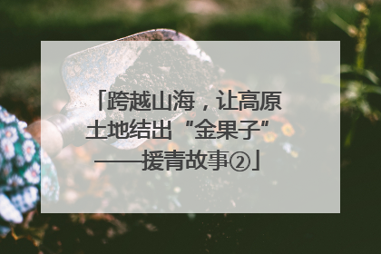 跨越山海，让高原土地结出“金果子”——援青故事②