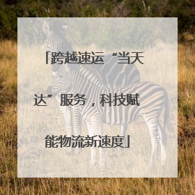 跨越速运“当天达”服务，科技赋能物流新速度