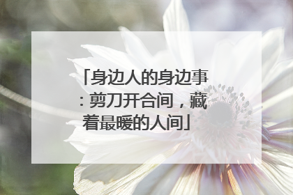 身边人的身边事：剪刀开合间，藏着最暖的人间