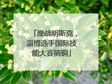 鏖战明斯克，淄博选手国际技能大赛摘铜