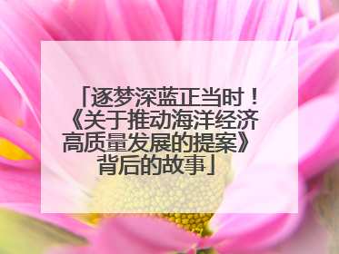 逐梦深蓝正当时！《关于推动海洋经济高质量发展的提案》背后的故事