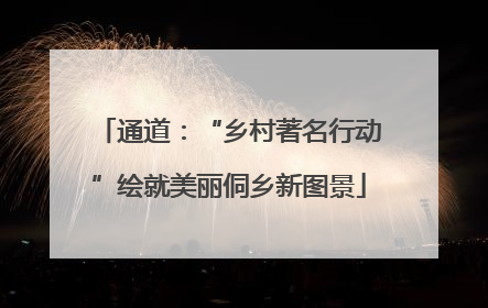 通道：“乡村著名行动”绘就美丽侗乡新图景