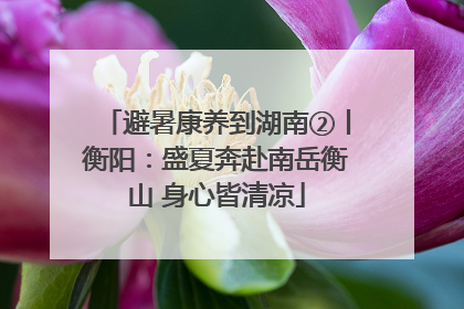 避暑康养到湖南②丨衡阳：盛夏奔赴南岳衡山 身心皆清凉