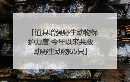 道县增强野生动物保护力度 今年以来共救助野生动物65只