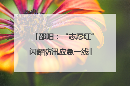 邵阳：“志愿红”闪耀防汛应急一线