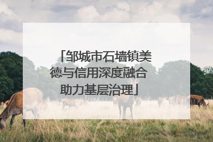 邹城市石墙镇美德与信用深度融合助力基层治理
