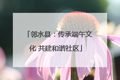 邻水县：传承端午文化 共建和谐社区