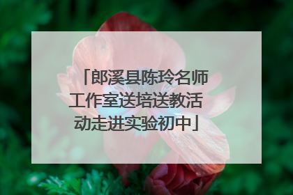 郎溪县陈玲名师工作室送培送教活动走进实验初中