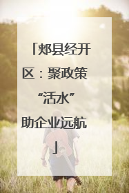 郏县经开区：聚政策“活水” 助企业远航