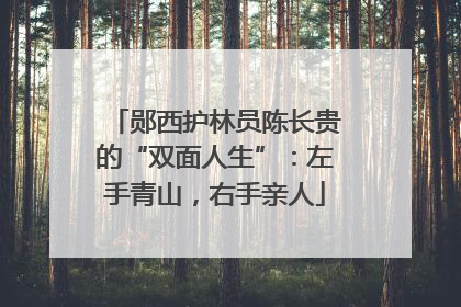 郧西护林员陈长贵的“双面人生”：左手青山，右手亲人