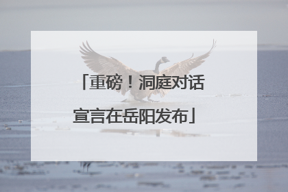 重磅！洞庭对话宣言在岳阳发布