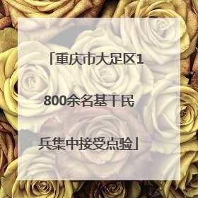 重庆市大足区1800余名基干民兵集中接受点验