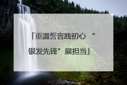 重温誓言践初心 “银发先锋”展担当