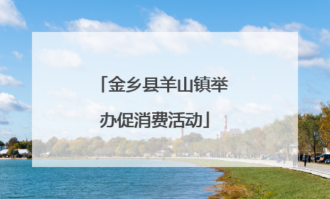 金乡县羊山镇举办促消费活动