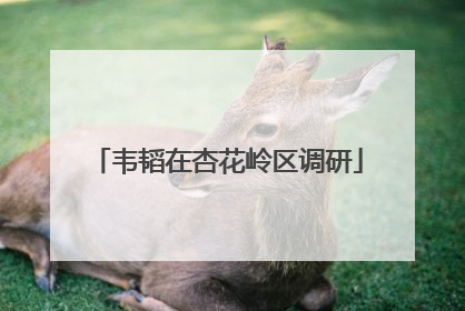 韦韬在杏花岭区调研