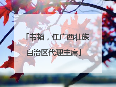 韦韬，任广西壮族自治区代理主席