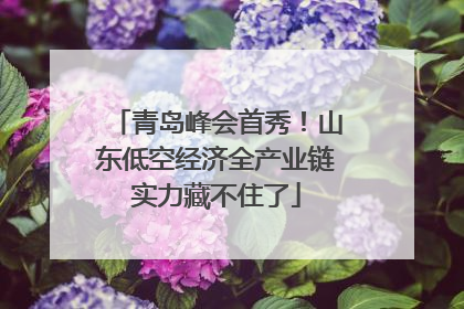 青岛峰会首秀！山东低空经济全产业链实力藏不住了