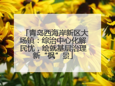 青岛西海岸新区大场镇：综治中心化解民忧，绘就基层治理新“枫”景