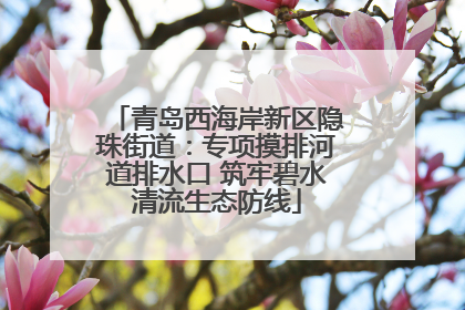 青岛西海岸新区隐珠街道：专项摸排河道排水口 筑牢碧水清流生态防线