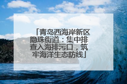 青岛西海岸新区隐珠街道：集中排查入海排污口，筑牢海洋生态防线
