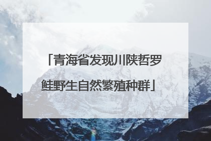 青海省发现川陕哲罗鲑野生自然繁殖种群