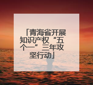 青海省开展知识产权“五个一”三年攻坚行动