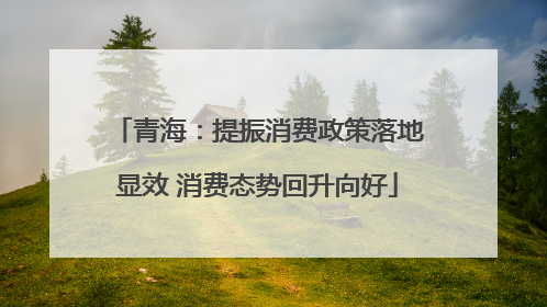 青海：提振消费政策落地显效 消费态势回升向好