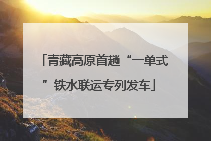 青藏高原首趟“一单式”铁水联运专列发车